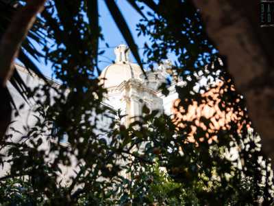 Ci basta infine alzare lo sguardo per ammirare, tra le fronde delle piante, la grande cupola della vicina chiesa di Santa Teresa dei Maschi